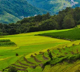 Arunachal Package Tour Plan From Kochi