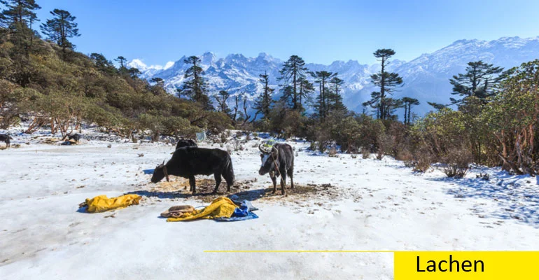 North Sikkim Tour Packages from Bagdogra