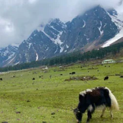 Cheapest North Sikkim tour packages from Bagdogra