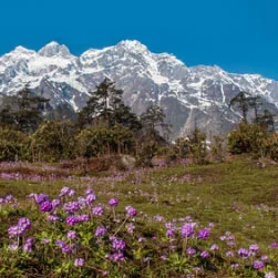 North Sikkim Package Tour from Bagdogra