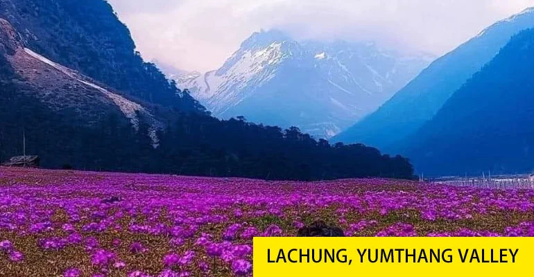 North Sikkim Tour Packages from Bagdogra