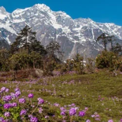 North Sikkim Tour Itinerary from Bagdogra