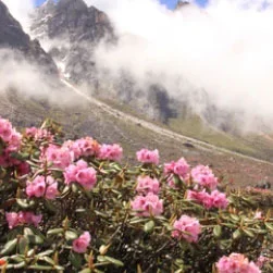 North Sikkim Tour Plan from Bagdogra