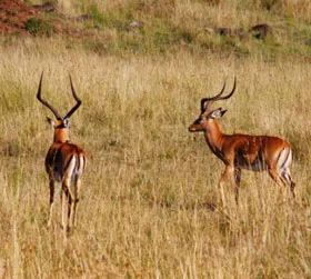 Arunachal Tour Package from Nashik
