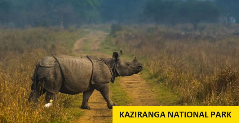 8 Nights 9 Days Arunachal Assam package tour