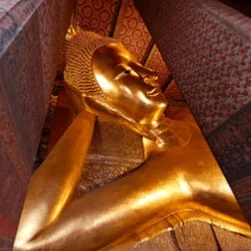 Customizable Bangkok Pattaya Package from Patna