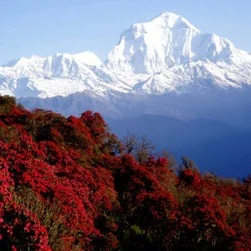 Bhutan package tour from Ranchi