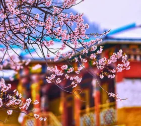 Bhutan package from Chennai