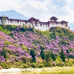 Bhutan travel from Chennai