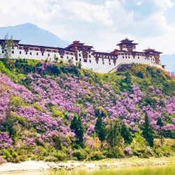 7 Days Sightseeing Tour in Bhutan