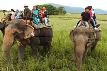 Kaziranga Elephant Safari, Jeep Safari Package Tour from Guwahati