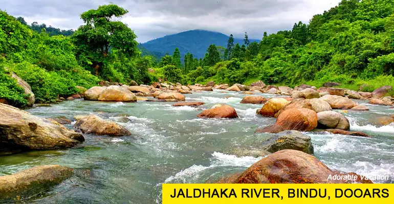 Dooars Tour Package Cost from Kolkata