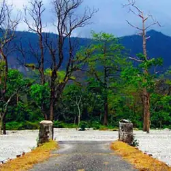 Dooars tour from NJP Station