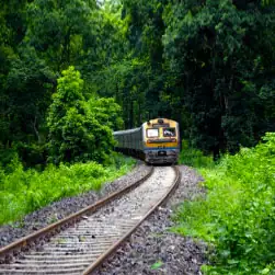 Dooars tour packages from NJP Station