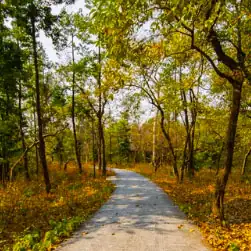 Dooars tour package itinerary from NJP Station