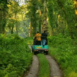 Dooars Tour Package Cost from NJP Station