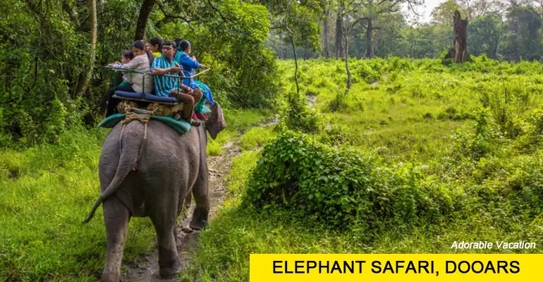 Dooars Package Tour from Kolkata