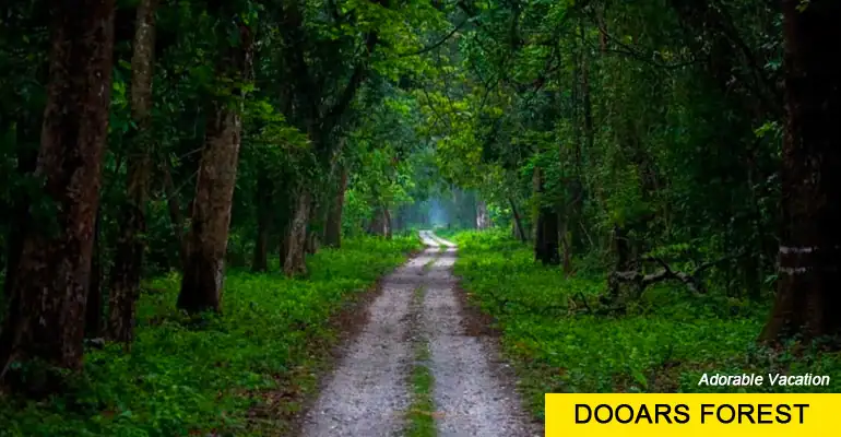 Dooars Tour Packages from Kolkata