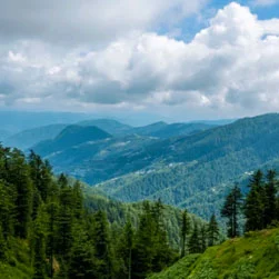 Honeymoon tour in Himachal Pradesh from Abu Dhabi