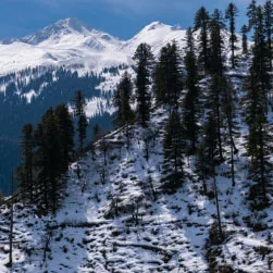 Himachal Honeymoon Package Tour Booking from Abu Dhabi