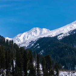 Himachal Honeymoon Tour Package Itinerary from Abu Dhabi
