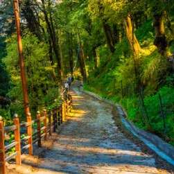 Himachal Honeymoon Package Tour Plan from Abu Dhabi