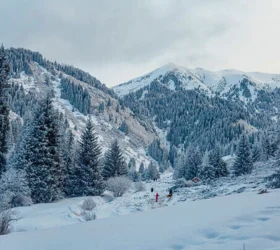 kashmir trip from srinagar airport