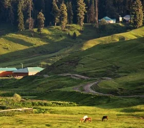 kashmir package tour from srinagar