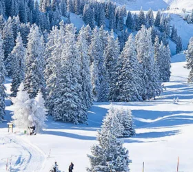 kashmir packages from srinagar airport