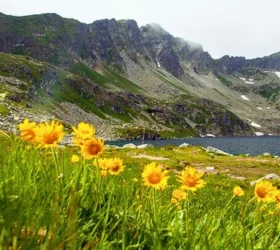 kashmir tour packages