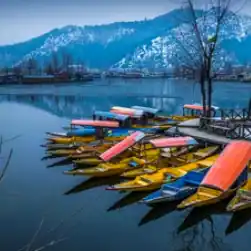 Kashmir Tulip Festival tour package April dates