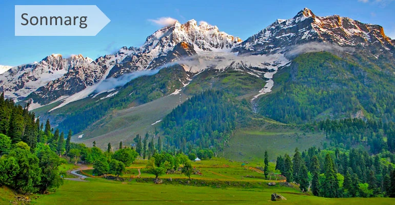 Tulip Festival Special Kashmir Tour Package