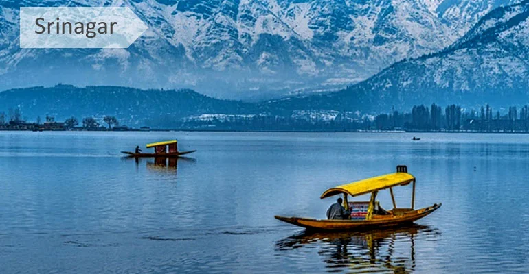 Kashmir Tulip Festival Package Tour 2026