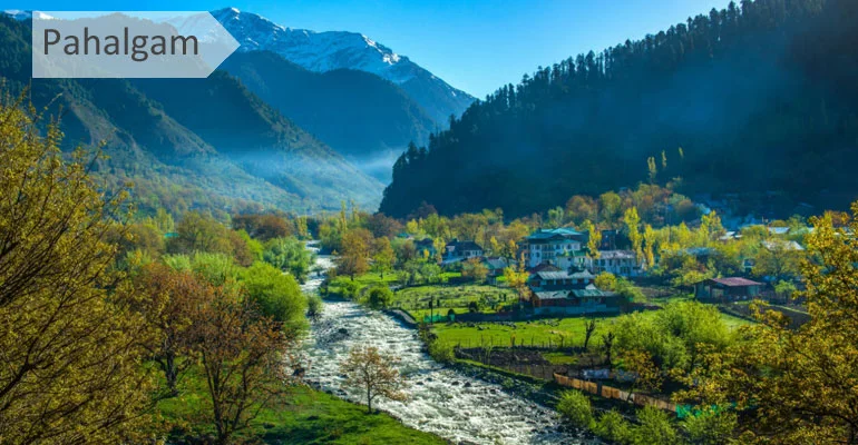 Kashmir Tulip Festival Special Tour Packages