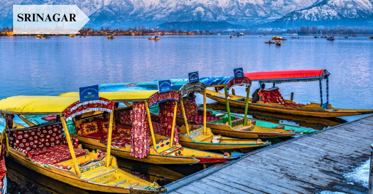 Kashmir Package Tour with Gurez Valley