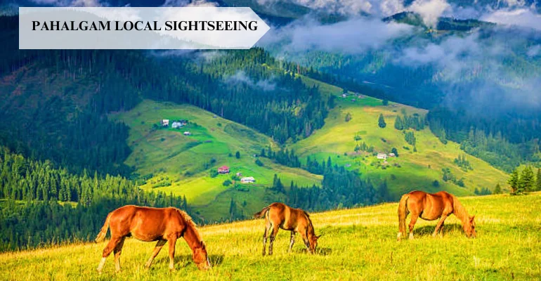Kashmir Package Tour with Gurez