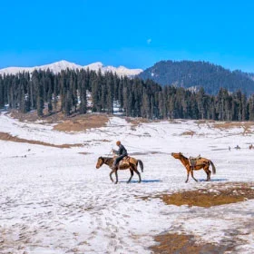 Kashmir Gurez Valley Package Tour