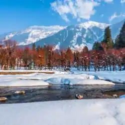 kashmir package tour from ahmedabad