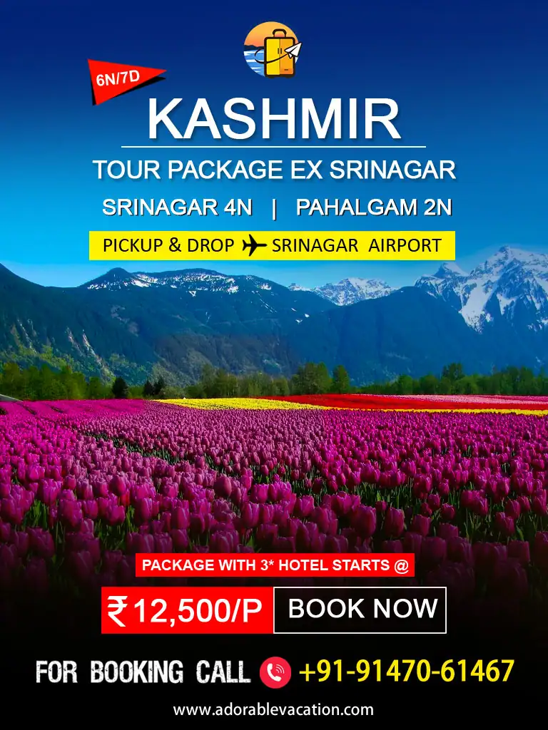 Tulip festival spl kashmir package tour