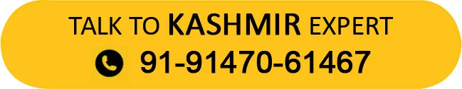 Kashmir package tour from Ahmedabad
