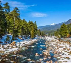 kashmir package tour from srinagar