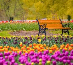 kashmir packages from srinagar airport
