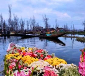 kashmir tour packages