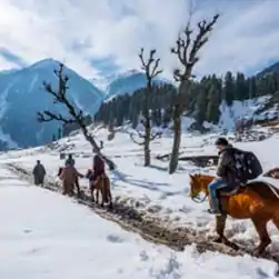 Kashmir trip from Mumbai