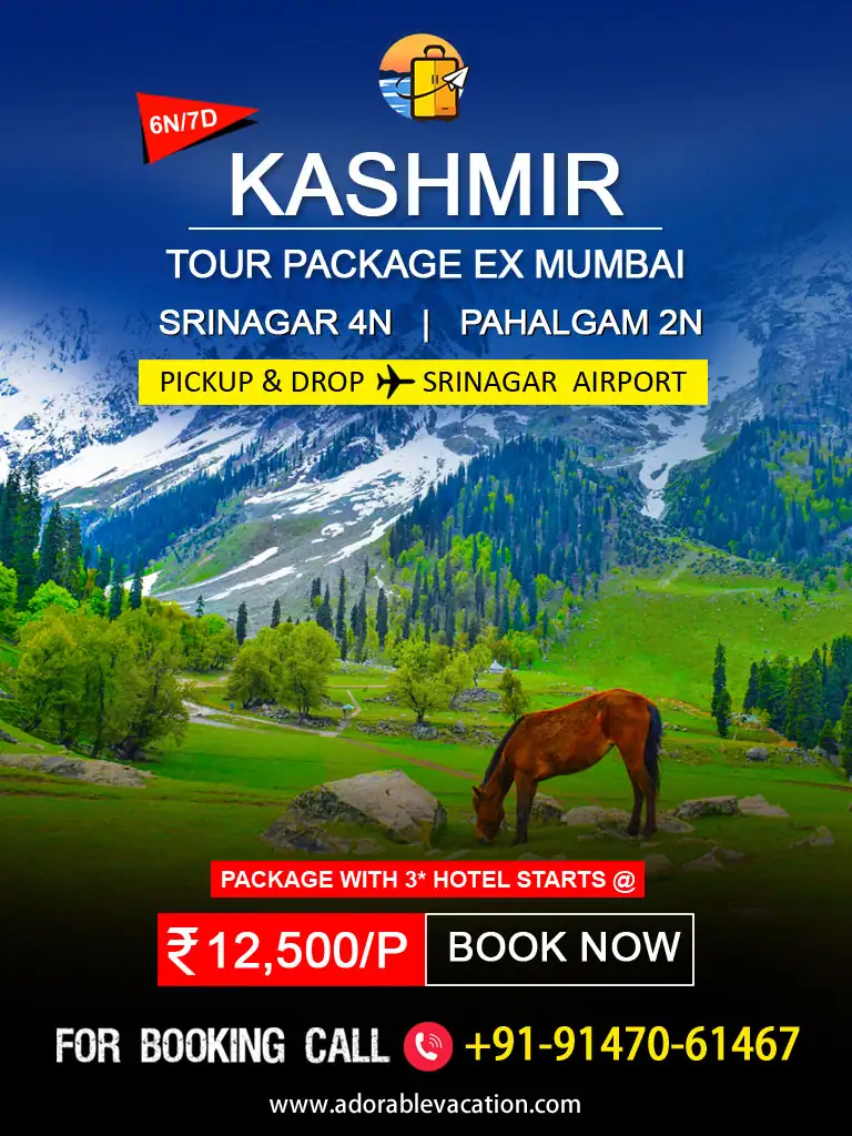 kashmir package tour from Srinagar Airport