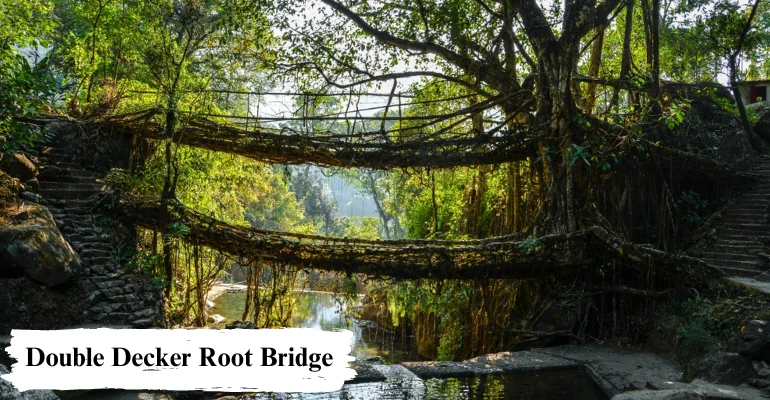 Luxury Meghalaya and Assam wildlife tour package