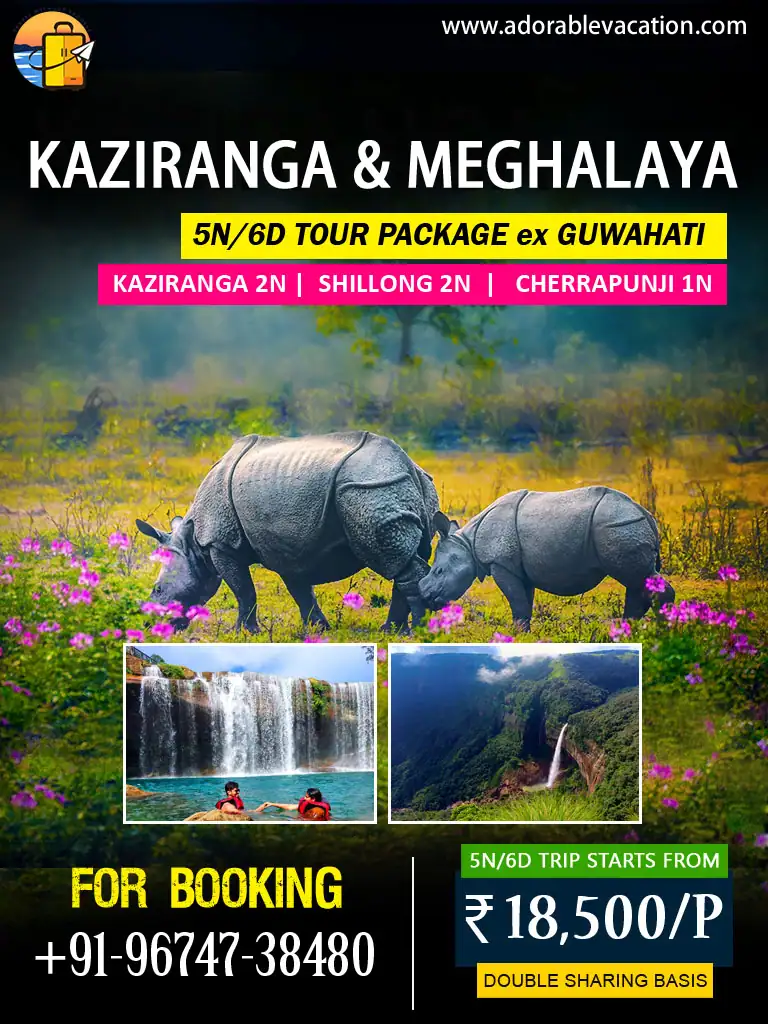 Kaziranga Shillong Cherrapunji Group Package Tour from Guwahati