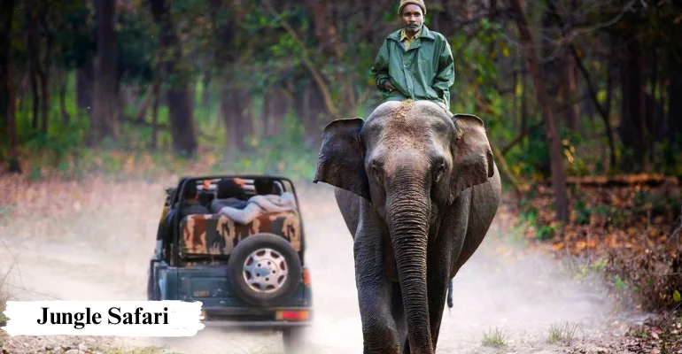 Kaziranga Shillong Cherrapunji Tour Packages from Guwahati