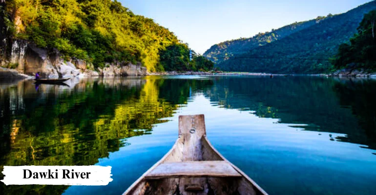 Luxury Meghalaya and Assam wildlife tour package