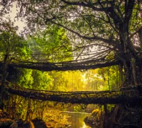 Kaziranga Shillong Cherrapunji package cost from Guwahati